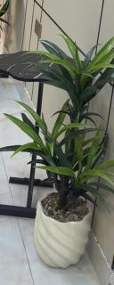 Appartement Aljemaz - 2