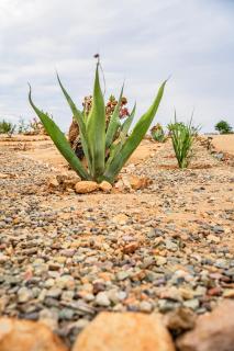 Villa LOAR Valle de Guadalupe - 8