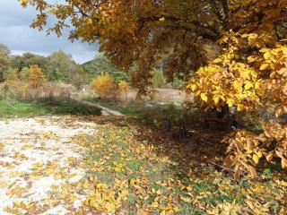 La Râu - Căsuța de sus - 9