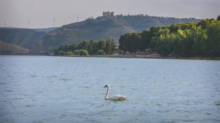 Tres Estrellas Mequinenza - 3