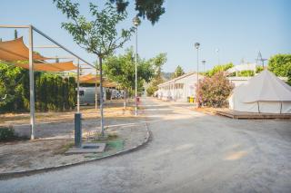 Tres Estrellas Mequinenza - 7