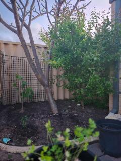 Dalyellup accommodation Rear Unit Close to Cafés and Shops - 6