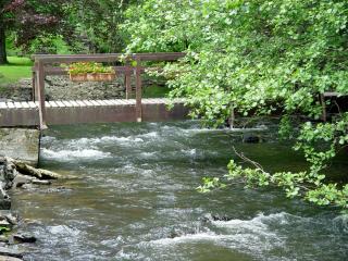 Moulin de Daverdisse - 2