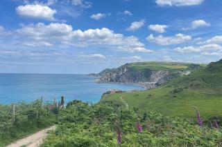 Pillhead Cart Linhay - 6