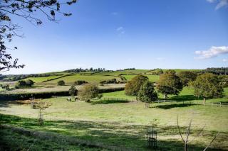 Pillhead Cart Linhay - 6