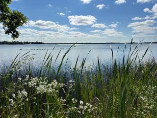 Lake Escape in Cozy Boathouse Surrounded by Forest - 7