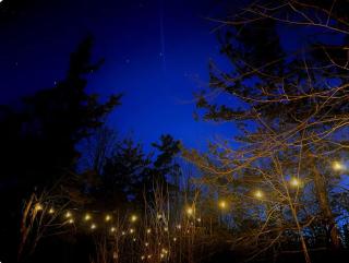 Lake Escape in Cozy Boathouse Surrounded by Forest - 1