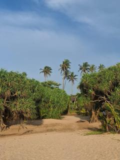 Sithu Guesthouse - 9