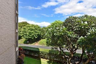 Kihei Alii Kai A207 · KAK A207 Renovated Kihei Condo Near Beach - 1