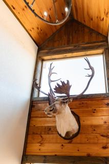 Fireside Lodge Lake View Hot Tub Game Room - 1