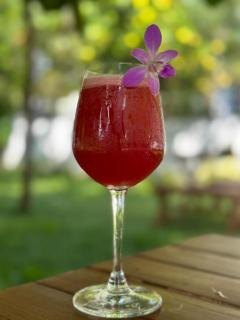 4elementis beach homestay - 2