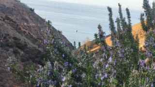 Villa de vacance proche de la plage - 7