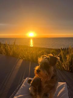 The Admiral, Whitstable - 7