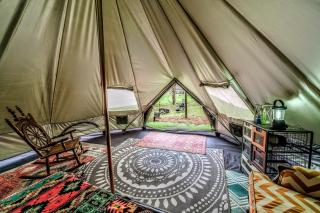 Off-Grid Creekside Tent Ideal for a Glamping Experience in Cosby, Tennessee - 6