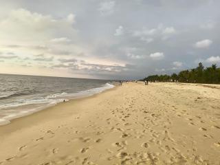 Marari Felix Beach Villa - Alleppey - 7