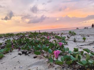 Marari Felix Beach Villa - Alleppey - 5