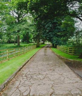 Ballynacree House and Cottages - 4