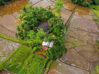 Forest & Fields Sinharaja - Step Close, Live Wild - 8