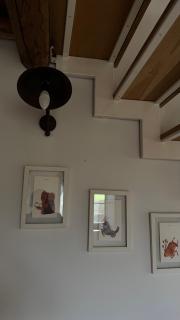 Agriturismo Le Peonie - 7