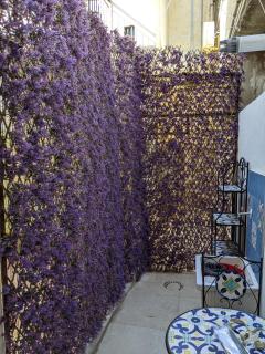 Mola Mola Beach House - 7