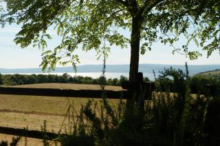 B&B Podere Ospedaletto - Bolsena - 5