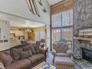 Spectacular 2 Level Swiss Mntn Condo - 8