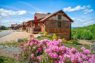 Peak A View at Eagles Nest - 7