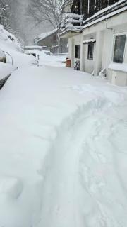 Chalet del Lago Laceno - 1