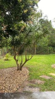 LUGA Casa Encantada | 8 min Centro - 6