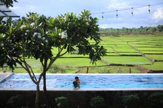 Villa Đăng Hải - 4