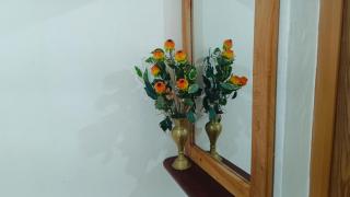 White Heaven Guest Inn Ella - 1