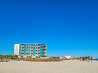 Beachview Condo at Sea Breeze -409 - fully furnished 2 bedroom 2 bath - 8
