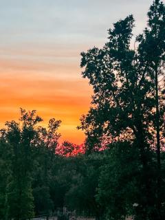 Yosemite Family Lodge I Sleeps 11 I Game Room - 6