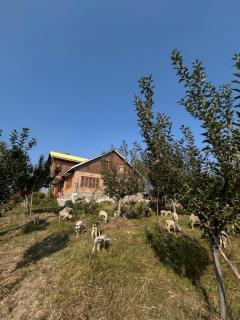 The Mool Farm and Living - 7