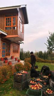 The Mool Farm and Living - 8