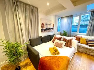 Knightsbridge large 2 Beds flat Chelsea - 7