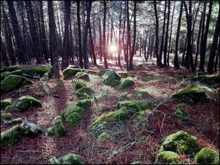 Villa-Piedralaves-aMatalasviñas - 7