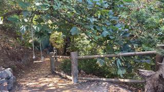 La Toscana de Corvo - 6