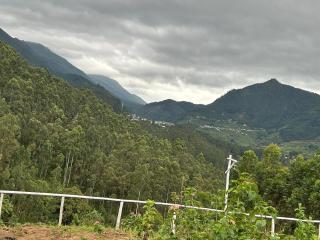 Mystic Valley Vattavada - 4