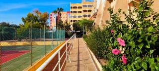 Cozy Apartment on Calle Helena, 8 Minutes from the Beach - La Mata - 8