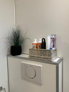 Central apartment in Takelvlia! - 5