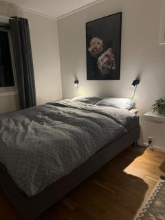 Central apartment in Takelvlia! - 2