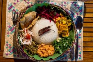 Forest & Fields Sinharaja - Step Close, Live Wild - 3