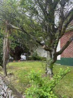 3 bedrooms House,77 Slacks Rd - 3