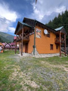 Апартаменти Лісова тиша - 7