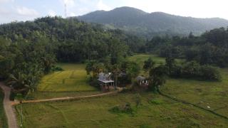 Forest & Fields Sinharaja - Step Close, Live Wild - 6