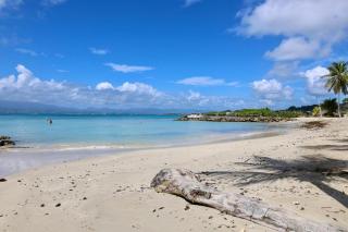 Instants Magiques, cosy, vue mer, accès plage 30m - 2