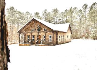 Knotty and Nice Luxury Cabin - 3