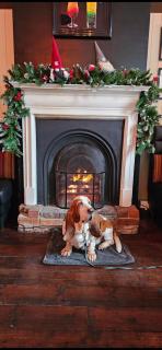 The Market Hotel - 7