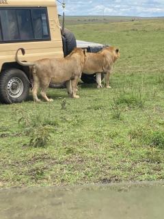 Oloiba Nkuti Lodge - 3